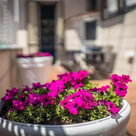 Apartment Scricciolo *